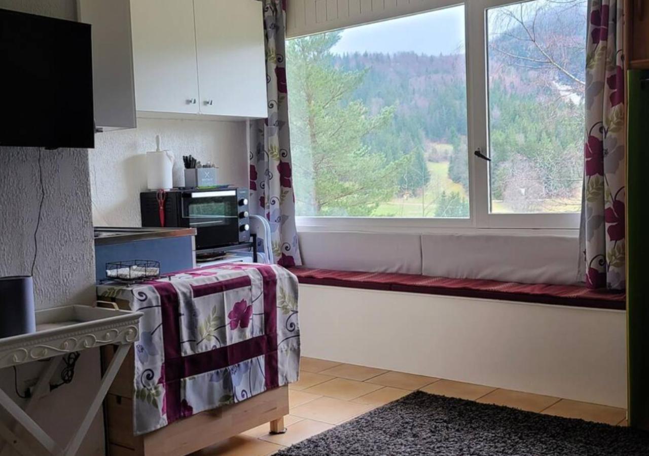 Studio Agreable Et Lumineux Villard-de-Lans Εξωτερικό φωτογραφία